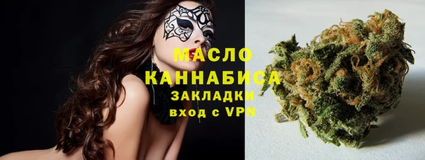 хмурый Арсеньев