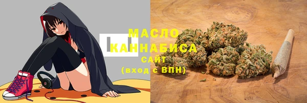 хмурый Арсеньев