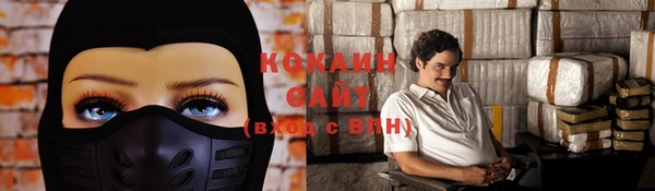 хмурый Арсеньев