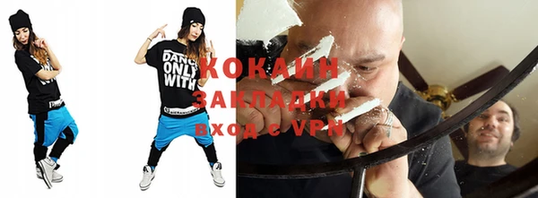 хмурый Арсеньев