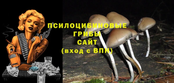 дурь Армянск