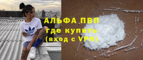 хмурый Арсеньев